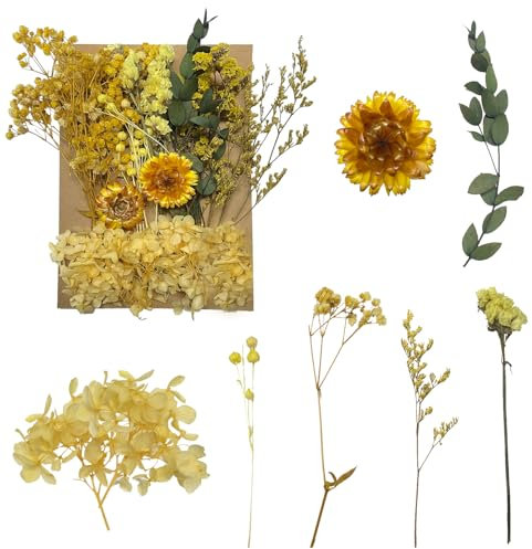 Getrocknete Blumen, gepresste Blumen, Trockenblumen, getrocknete Blumen, Basteln für Heimwerker, Kunstharz, Scrapbooking, Schmuckherstellung, Blumendekorationen(Gelb)