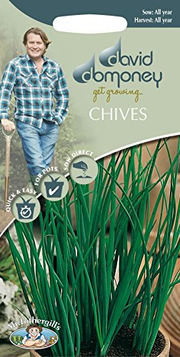 Mr Fothergills - Herb - David Domoney Chives - 750 Seeds