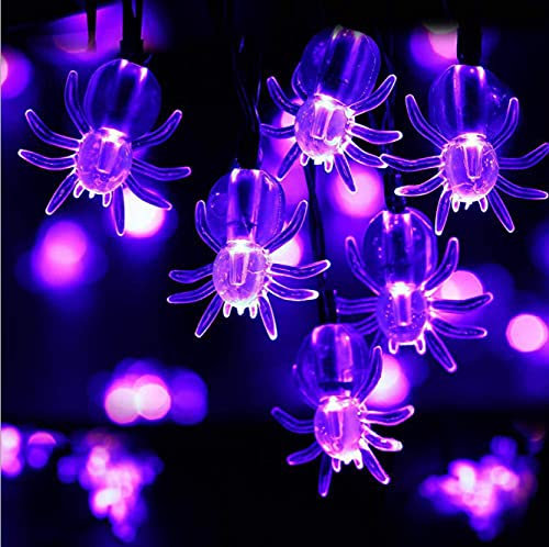 WHSCwp 20 LED Lights 3D Pumpkin String Fairy Lights,Battery Operated Glow Lantern Lights for Halloween Christmas Party Garden Yard Patio and DIY Decorations (Spider Purple)