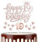 mciskin Girls 19th Happy Birthday Candles Cake Toppers, Number 19 Candle for Cake, Rose Gold Candles for Women Birthday Decorations, Heart Star Cake Toppers for 19th Birthday Party Wedding Anniversary