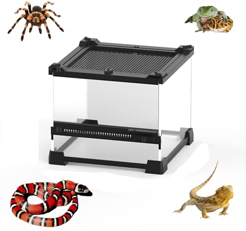 AMZTEMU Terrarium phasme, Boîte à Nourrir en pour Reptiles, Ensemble de récipient en Verre d'insecte, Habitat Portable(20 * 20 * 14.5cm)