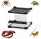 AMZTEMU Glas Vivarium, Reptile Terrarium Box, Reptile Food Box, Portable Habitat for Reptiles and Amphibians, Suitable for Spiders, Lizards, Frogs, Scorpions, Barbecues, Geckos(20 * 20 * 14.5cm)
