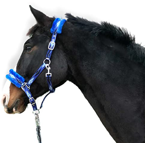 Pferdelinis Halfter für Pferde Fell Halfter unterlegt Halfter blau in den Größen xfull Halfter, Pony, Cob, Warmblut (Blau, Warmblut + Strick)