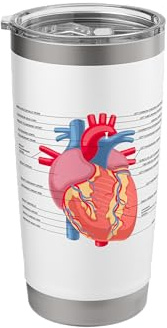 Funny Human Heart Anatomy Anatomical Heart Stainless Steel Insulated Tumbler