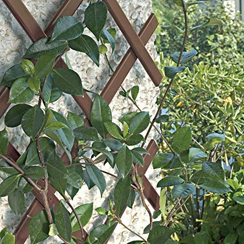 busybee 2 x BROWN Expanding Plastic Garden Trellis 180 X 40cm 1.8m New PVC Trellis