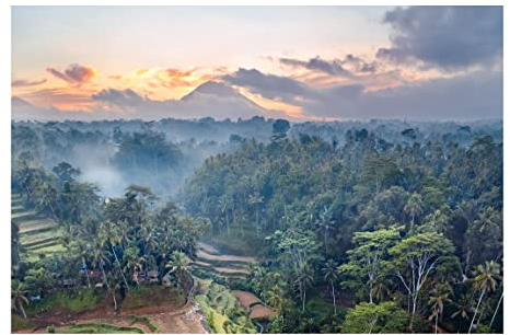 Bilderwelten Natur Fototapete 3D inkl. Kleister 384x255cm - Vliestapete Made in Germany - Fototapete Landschaft Schlafzimmer - Bali Tapete Natur - Wandtapete Natur Wohnzimmer Flur T_4552