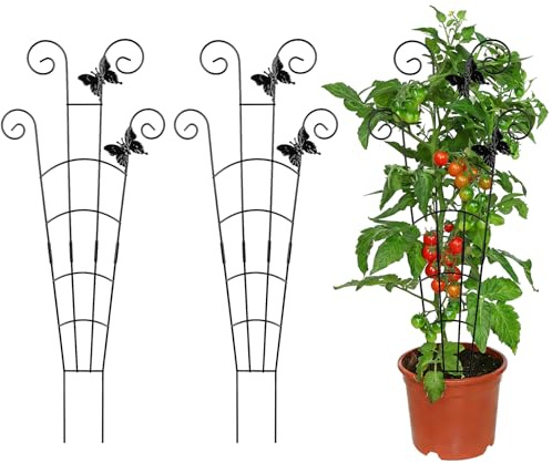 3 Pack Garden Trellis 77cm – Metal Plant Support Stakes for Climbing Plants, Tomatoes & Roses, Rustproof Iron Flower Trellis for Indoor & Outdoor Use