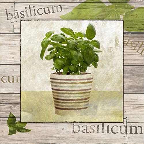 artissimo, Dekopanel, Deco Panel, ca. 30x30cm, PE6332-PA, Kräuter: Basilikum, Bild, Wandbild, Poster auf Decopanel, Küche, Küchenbild, Kräutertöpfe
