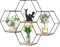 Generisch Hexagon Wandregal Metall 4er Set in 1 Wandregal Wanddekorregal Modernes Metallwandregal Holz Schweberegal Schwarz Hängend für Schlafzimmer Wohnzimmer Küche und Büro, SHELF-4-BLACK