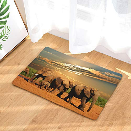 Baisheng Fußmatte Universal Türmatte Wasserabsorbierend Rutschfeste Outdoor Fußmatten Indoor Durable waschbar Weihnachten Teppich (Elefant 9-19.6 * 31.5inch /50 * 80cm)