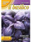 SEMENTI DI BASILICO VIOLA RED RUBIN viola orto semi seeds giardino