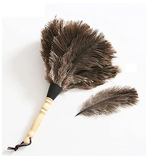 Ostrich Feather Duster, Household Dust Removal Tool with Wooden Handle, Quality Genuine Ostrich Feather Duster. (short (12.6 inch))