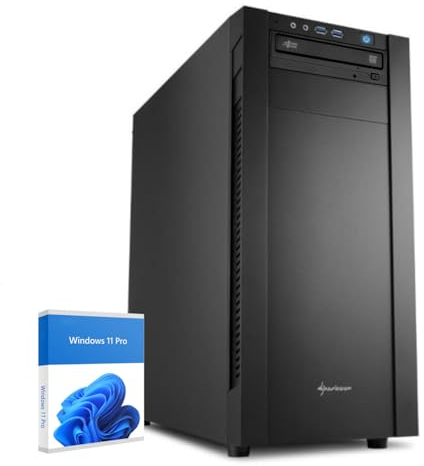 dcl24 AMD Desktop PC Ryzen 9 5950X, GT1030 4GB - 1000GB SSD, 16GB DDR4, schneller PC Rechner mit 16x4.9 GHz, WLAN, Windows 11 Pro PC System für Büro und Homeoffice [19559]