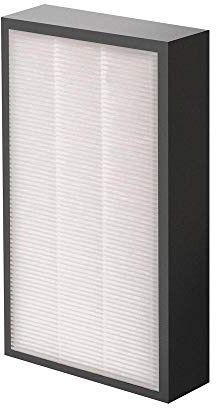 Fellowes 9544301 AeraMax Professional AM2 True HEPA filter