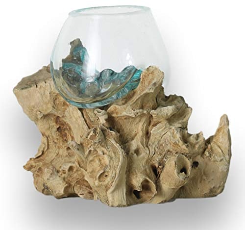 ART-CRAFT Vase en verre fait à la main en forme d'arbre Gamal en bois 15 x 12 x 12 cm, finition naturelle, utilisation décorative, 0,9 kg, fabriqué en Indonésie