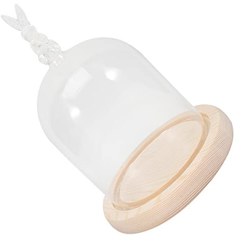 KONTONTY 1 Satz Kaninchen Abdeckung Blumenschutzornament Tischvitrine Kuchen Behälter Saftige Cloche Pflanzenschalen Für Töpfe Pflanzen Pflanzendekorationen Cupcake-Halter Glas