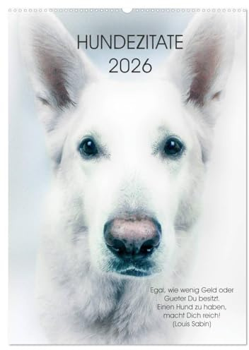 Hundezitate 2026 (Wandkalender 2026 DIN A2 hoch), CALVENDO Monatskalender: Hundeportraits mit Zitaten (CALVENDO Tiere)