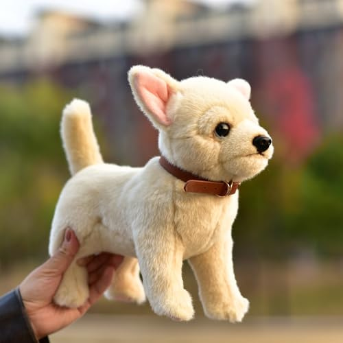 Simulation Chihuahua Hund Plüschtier Stofftier Puppe Es gibt Aluminiumdraht in den vier Gliedmaßen und es kann fest stehen (Es gibt Aluminiumdraht in den vier Gliedmaßen und es kann fest stehen.)