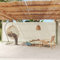 WIFESE 200x600 cm Tende da Veranda da Giardino Paravento Laterale Retrattile Paravento da Esterno Parasole Tenda Laterale Anti UV per Patio e Balcone Crema Tessuto Chiusura Automatica
