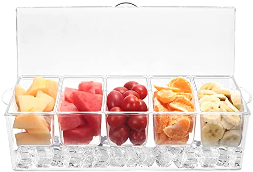 DIVANOVER Condiment Server Organizer on Ice, Clear Plastic Box Tray Chilled Caddy Dispenser Food Grade Fruit Serving Container Garnish for Home Party Snack(5 Grid)