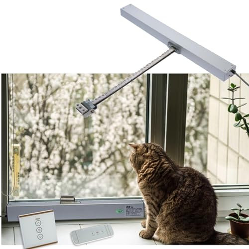 Apri Finestra Vasistas Elettrico a Catena 24V, Motore Spingi Finestra Automatico Smart, con Telecomando, Attuatore lineare per Finestre Sospese, Lucernario (Size : 24V 40cmMotor+Remote+Switch)