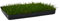 Katzengras mit PVC Einsatz 38x28