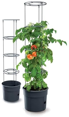 FORTENA Tomatenzuchttopf für Balkon Garten Tomatentopf Tomatenzucht Tomatenkübel 28L/1 Stück