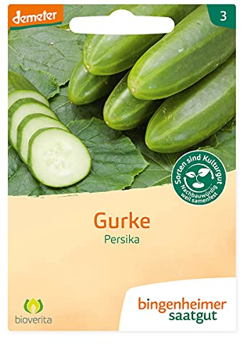 Freilandgurke Persika