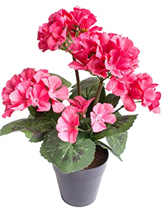 künstliche Geranie (Geranienbusch) mit 5 Blütenköpfen im schwarzen Kunststofftopf (pink)