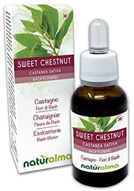 Sweet chestnut ou Châtaignier (Castanea sativa) Fleurs de Bach Naturalma - Gouttes 30 ml - Extrait liquide sans alcool - Essences florales - Vegan et sans alcool
