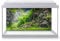 DV DESIGN Aquarium Fish Tank Background 80x40 cm - Forest Nature Style Tank Variety Aquatic Plants Moss Aquatic Image Static Cling Vinyl Vivarium Terrarium External Application #500004