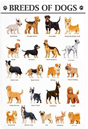 Lustiges Hunde-Dekor, Retro-Metall-Blechschild, Haustierliebhaber, Hunderassen der Wissenschaft, Klassenzimmer-Diagramm, Aluminium-Metallschild, Poster, Vintage-Kunstschild für Zuhause, Kinderzimmer,