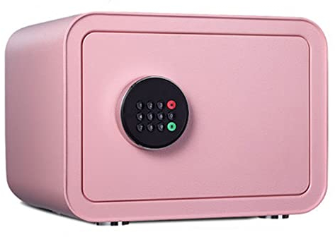 Portable Mini Steel Safe File Box mit abnehmbaren Trennwänden Kombinationsschloss Box für Hotelbüro für Reisepass, Bargeld, Schmuck (Rosa)