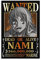 Anime One Piece Wanted Poster Nami Poster Malerei Leinwand Wandkunst Wohnzimmer Poster Malerei 20 x 30 cm