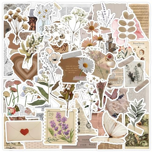 60 Pezzi Stickers Aesthetic, Vinile Adesivi Vintage per Scrapbook, Laptop, Bottiglia D'acqua (D)