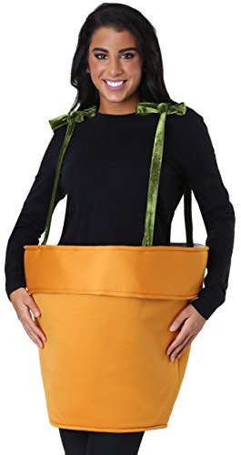 Adult Flower Pot Fancy Dress Costume Standard