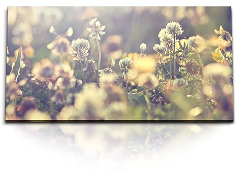 Paul Sinus Kunstdruck Bilder 120x60cm Sonnenschein Blumenwiese Natur Wildblumen Feldblumen
