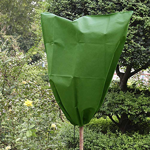 Colorful Pflanzenwinterschutz, Pflanzenschutzsack Pflanzen-Schutzsack, Wintervlies, Pflanzenvlies, Frostschutzhaube Frostschutzvlies für Kübelpflanzen (3 Stück Grün)