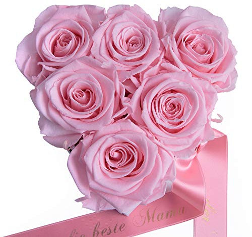 ROSEMARIE SCHULZ Heidelberg Rosen in Box Herz 6 konservierte Rosen Satinband Goldschrift Für die Beste Mutter der Welt (Rosa, 6 Rosen Für die Beste Mama der Welt)