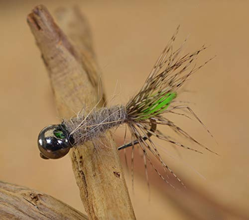 Region Fishing Tungsten Bead Peeping Caddis Jig Fly - Euro Nymph Flies - Hanak Hooks