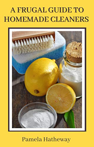 A Frugal Guide to Homemade Cleaners: Make Cleaning Products with Simple Ingredients