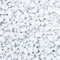 naninoa Marbles 7-15 mm. Weiße, gerundete Steine, Marmorsteine, Dekosteine, Kies, Nuggets, Kieselsteine weiß. 0,5 kg / 500 g. Weiß, Weiss