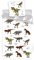 BrandMac ApS Parure de lit Dinosaures pour Enfant 100% Coton - Housse de Couette 140x200 cm + Taie d'oreiller 65x65 cm