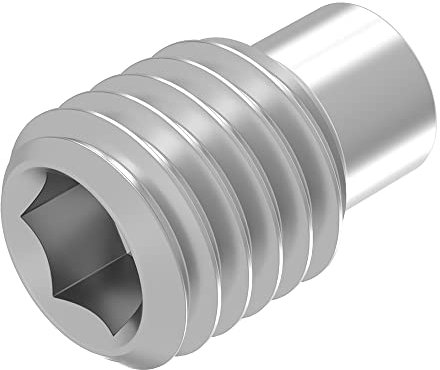 SECCARO Gewindestift mit Innensechskant und Zapfen M6 x 10 mm, Edelstahl V2A VA A2, DIN 915 / ISO 4028, 20 Stück