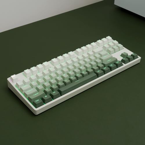 PBT Doubleshot Gradient Grün Hintergrundbeleuchtete OEM Profil Keycaps - 123 Tasten Vollständiges Set für Cherry Gateron MX Schalter Mechanische Tastatur