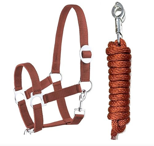 Halfter Führstrick Set mit Panikhaken verstellbar Pferdehalfter Pferd Holzpferd Anbindestrick (Panikhaken Hellbraun, Mini Shetty)