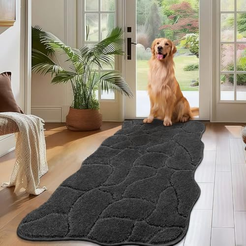 Biscpro Fußmatte Innen Weicher 60 x 150 cm, Türmatte rutschfeste Waschbar Fussmatte, Schmutzfangmatte,Läufer Teppich für Hund, Eingang, Flur, Küchen, Korridor