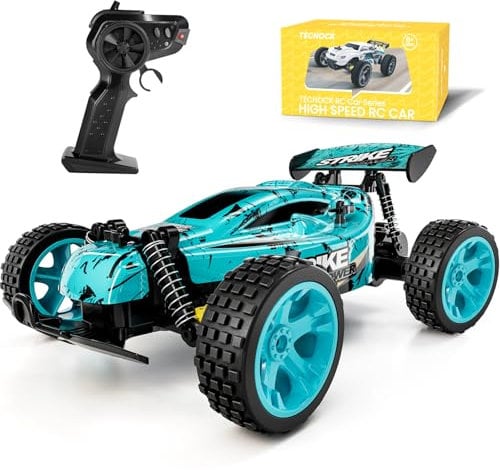 Tecnock RC Buggy, 1:18 High Speed 20 KM/H 2WD Off Road Racing Car with Rechargeable Batteries, Toys Gift for Boys and Girls