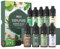 MISIJI Aceites Esenciales Set 10 Esencias-Aceites Esenciales para Difusor para el Hogar,Aceites Esenciales para Aromaterapia,Lavandería,Fabricación de Velas y Jabón,Humidificadores 10ML/10 Pack