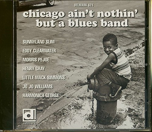 Chicago Ain't Nothin But a Blues Band / Various